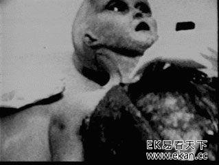 半个世纪的悬案 剖解外星人最终实情